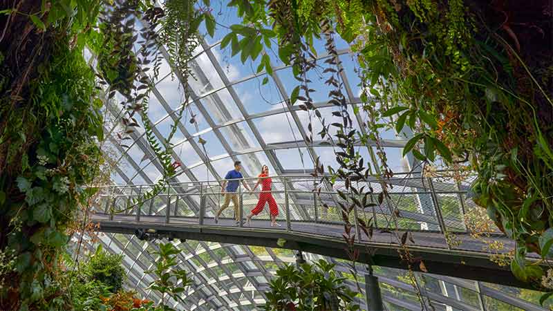 Photograph of two people walking across a bridge surrounded by plants under a glass ceiling enjoying their holiday paid for by their travel payment card in Singapore.